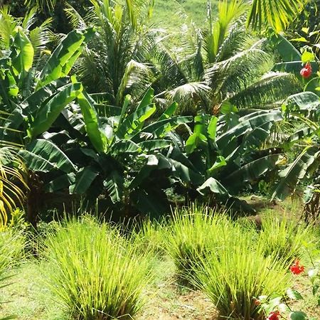 Appartamento les orchidées Petit-Bourg Esterno foto