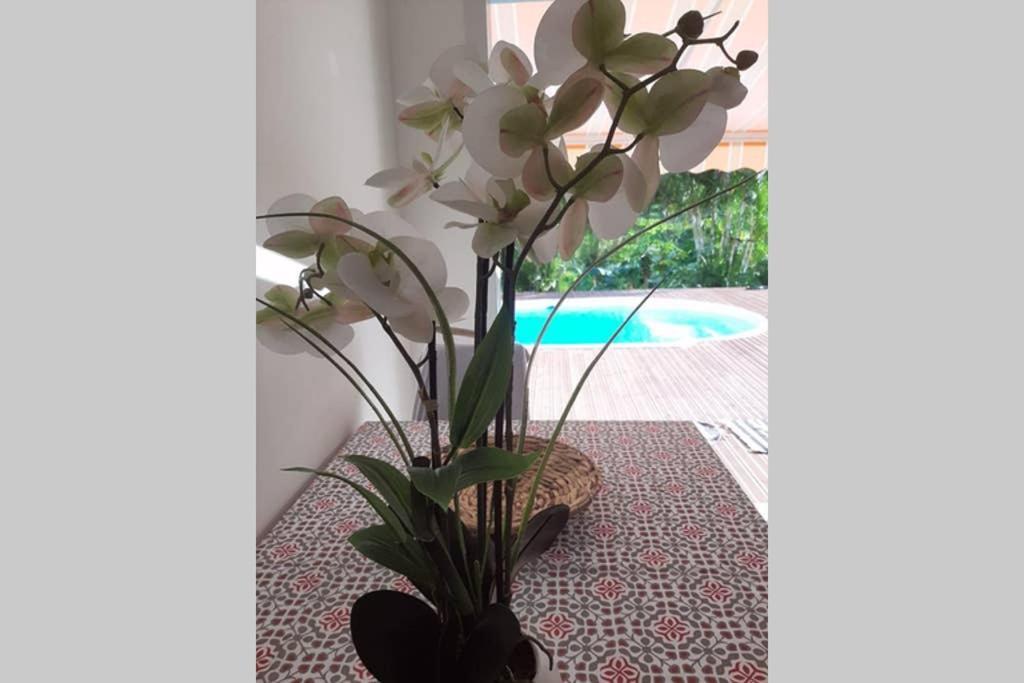 Appartamento les orchidées Petit-Bourg Esterno foto